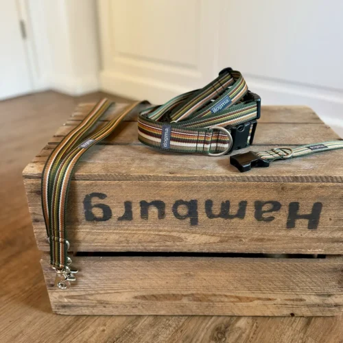 DOGMA Stripes grün – Hundehalsband sowie Cityleine